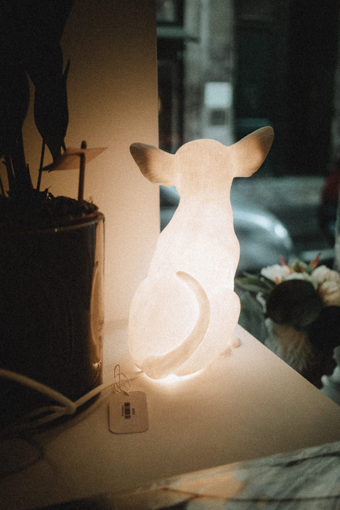 Shopping decoration cadeau lampe