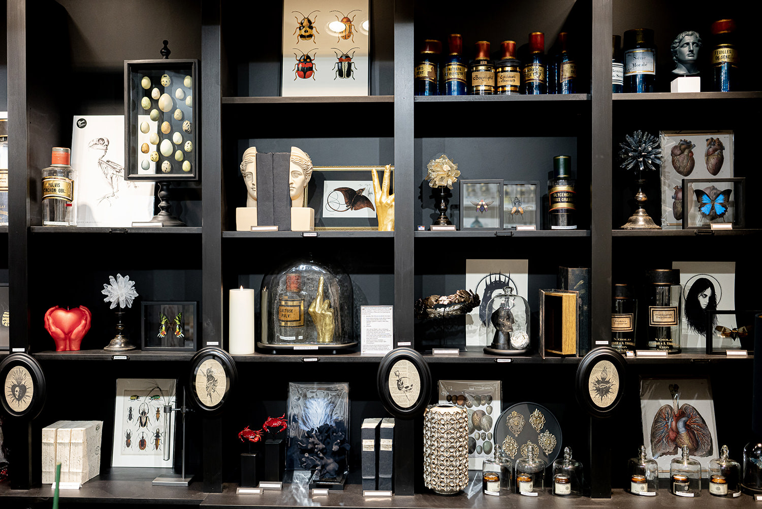 cabinet-of-curiosities